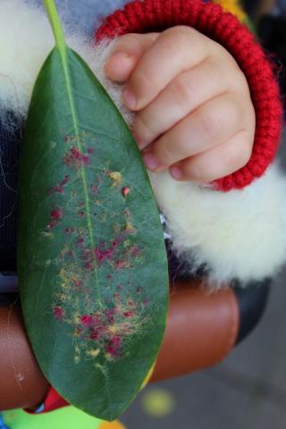Organic Embroidery by Lina Khalil — embroidered leaf and thread work, image 11 of 17.